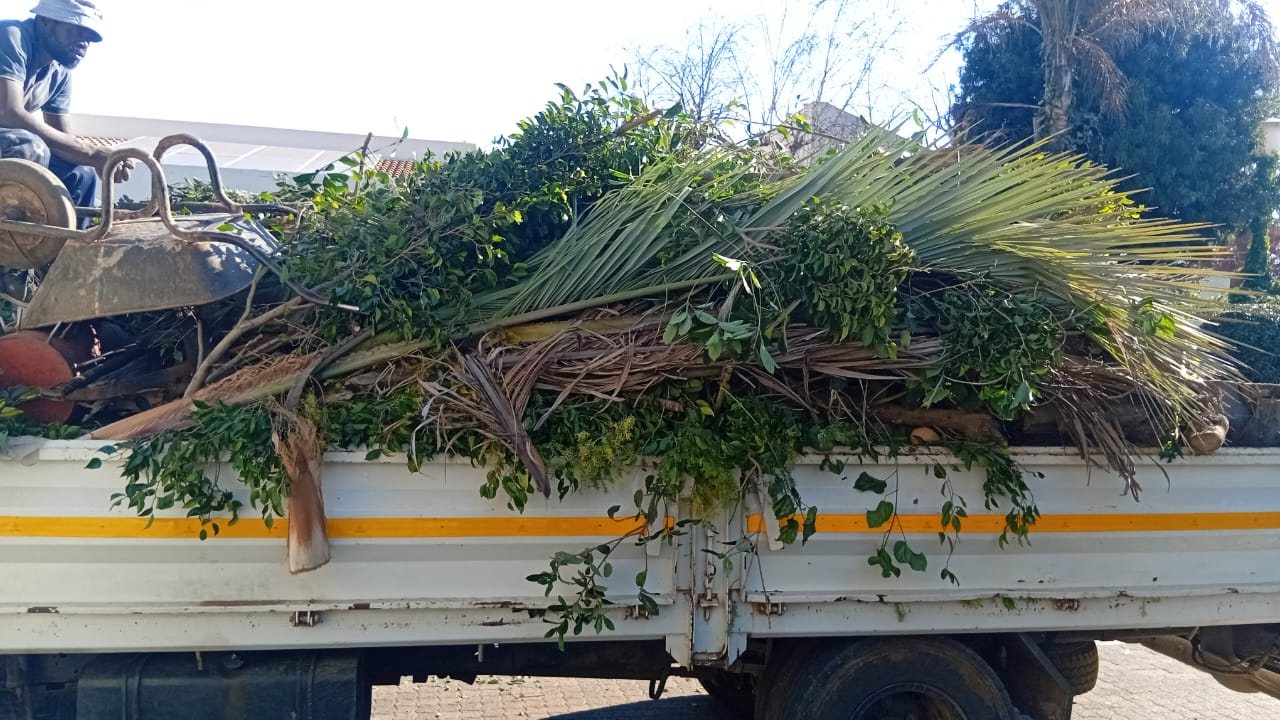 Truck carrying cleared palm and tree debris